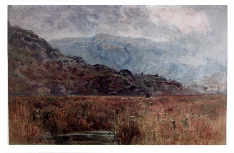 052-0.jpg