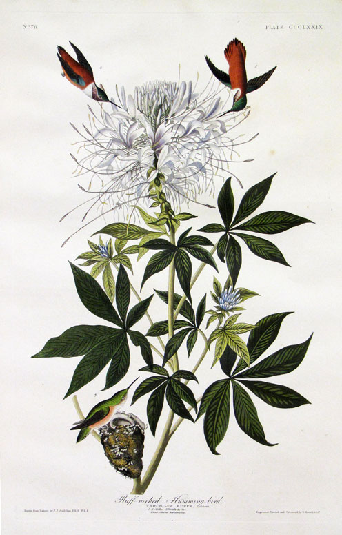 079A-0.jpg